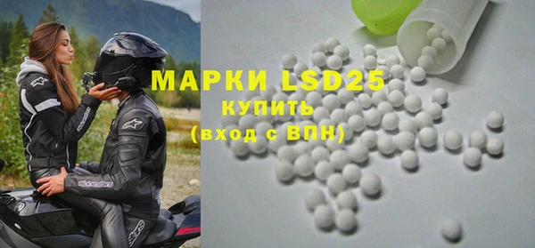 ECSTASY Магас