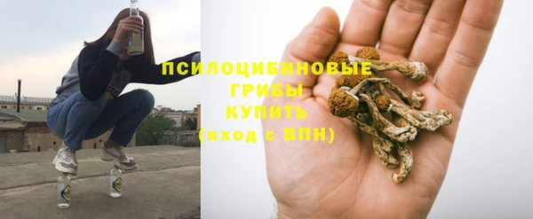 ECSTASY Магас